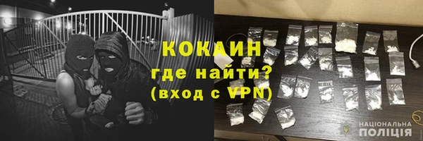 метадон Алексин