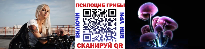 Псилоцибиновые грибы мицелий  хочу   Нелидово 